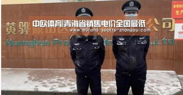 中欧体育|青海省销售电价全国最低(图2) 中欧体育平台