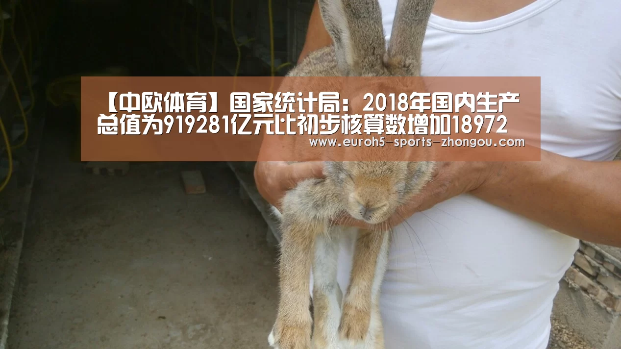 【中欧体育】国家统计局:2018年国内生产总值为919281亿元比初步核算数增加18972亿元(图2) 中欧体育官网
