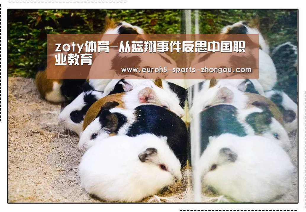 zoty体育-从蓝翔事件反思中国职业教育(图2) zoty体育