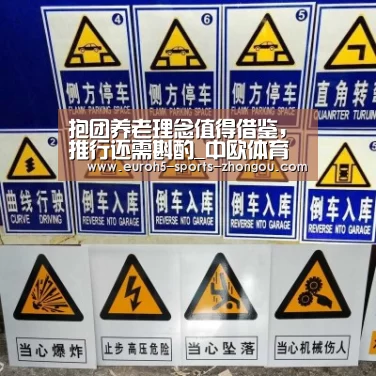 抱团养老理念值得借鉴,推行还需斟酌_中欧体育官网(图3) 中欧体育平台