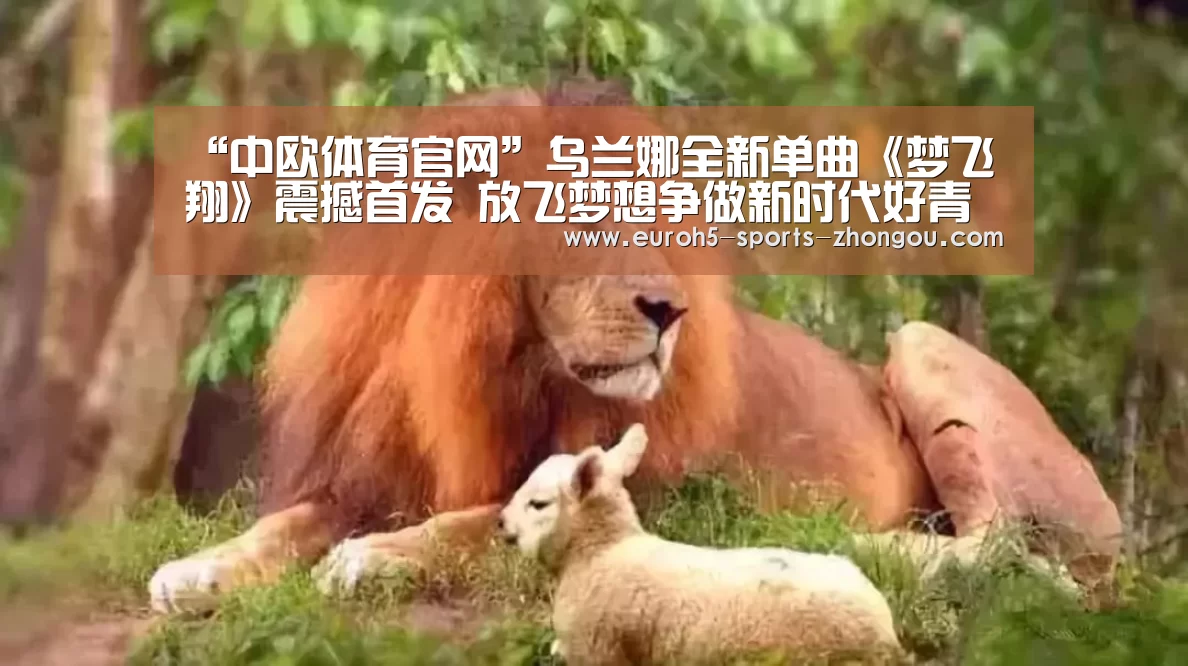 中欧体育官网