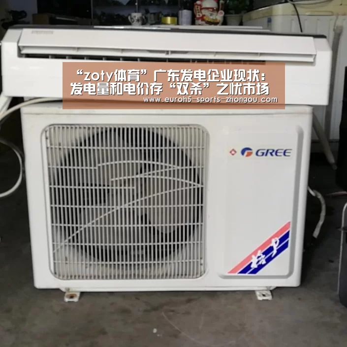 “zoty体育”广东发电企业现状:发电量和电价存“双杀”之忧市场化电量升高电价降(图1) 中欧体育平台