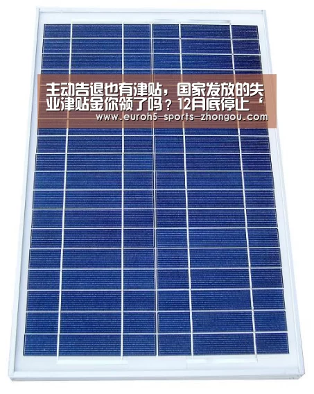 主动告退也有津贴,国家发放的失业津贴金你领了吗?12月底停止‘中欧体育官网’(图2) 中欧体育